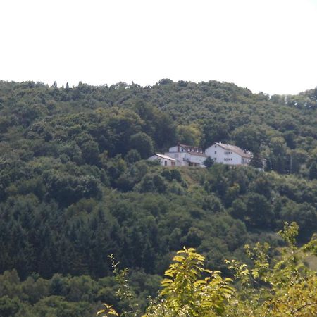 Burg-Hotel Obermoschel Eksteriør billede