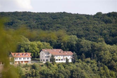 Burg-Hotel Obermoschel Eksteriør billede
