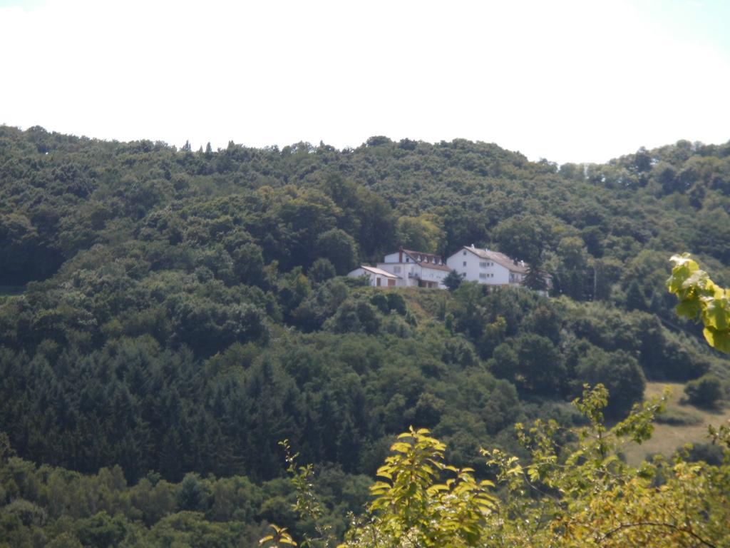 Burg-Hotel Obermoschel Eksteriør billede